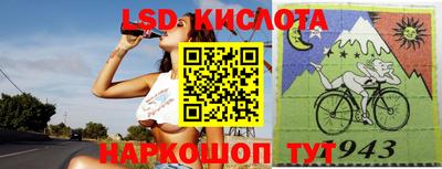 гашик Будённовск