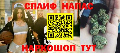 гашик Будённовск