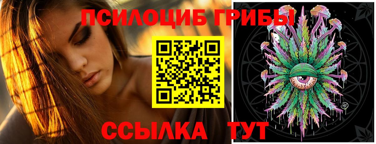Галлюциногенные грибы Cubensis Урюпинск