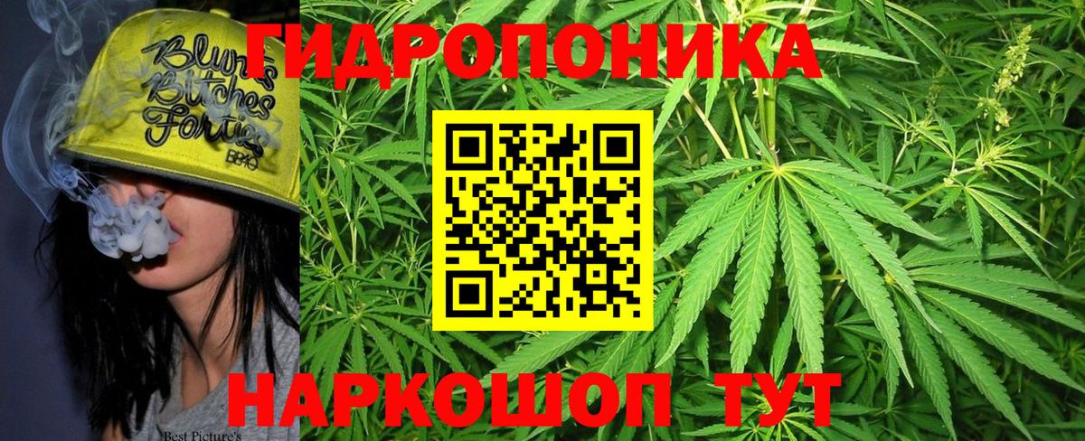 Урюпинск  Конопля OG Kush  Марихуана планчик  Вход с VPN  Каннабис конопля  Канабис гибрид 